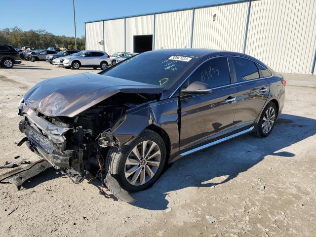 HYUNDAI SONATA SPO 2016 5npe34af2gh433310