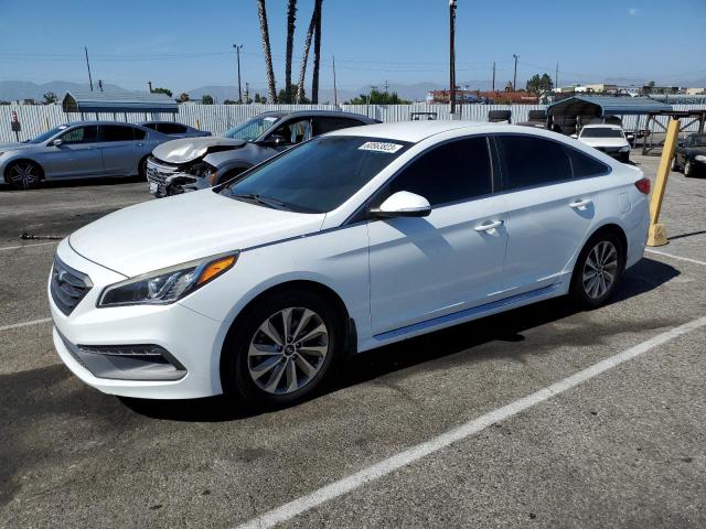 HYUNDAI SONATA SPO 2017 5npe34af2hh439433