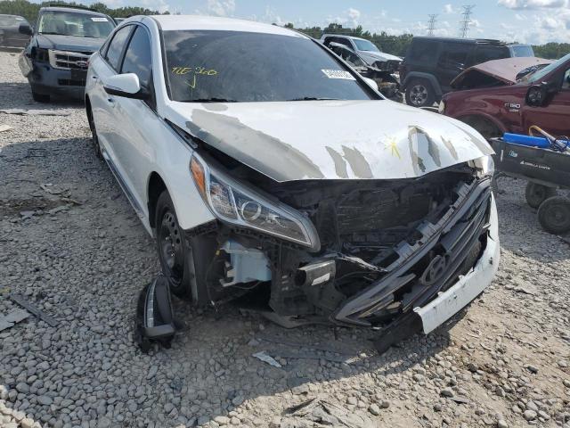 HYUNDAI SONATA SPO 2017 5npe34af2hh524871