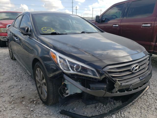 HYUNDAI SONATA SPO 2017 5npe34af2hh536213