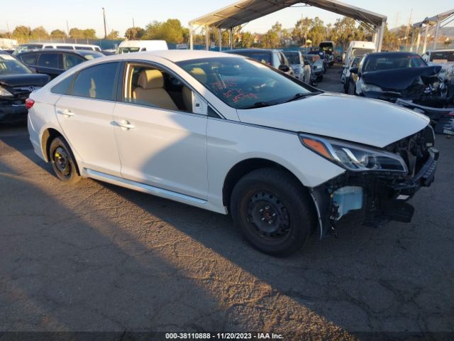 HYUNDAI SONATA 2017 5npe34af2hh550810