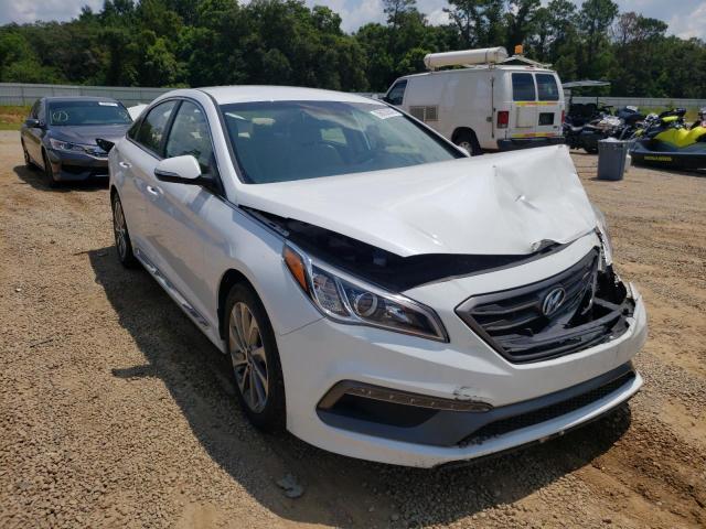 HYUNDAI SONATA SPO 2017 5npe34af2hh559779