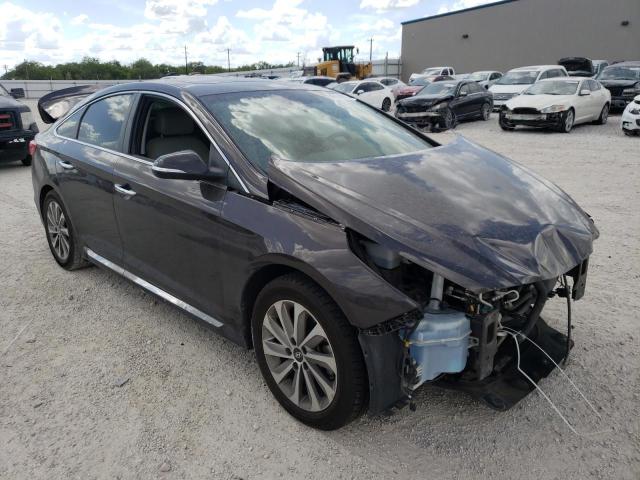 HYUNDAI SONATA SPO 2017 5npe34af2hh570880