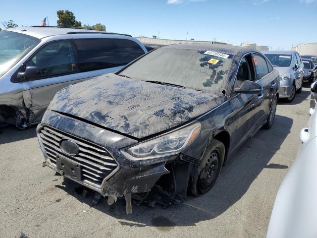 HYUNDAI SONATA SPO 2018 5npe34af2jh599284