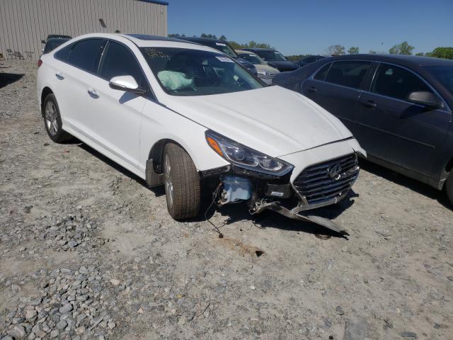 HYUNDAI SONATA SPO 2018 5npe34af2jh599611