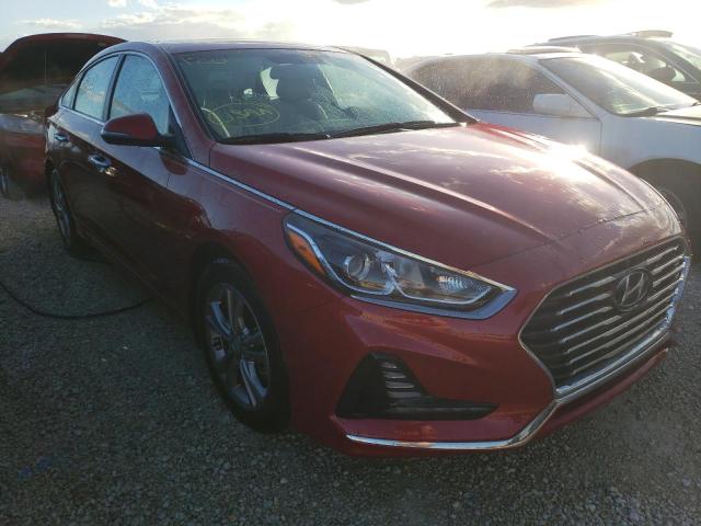 HYUNDAI SONATA SPO 2018 5npe34af2jh619307