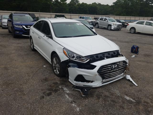 HYUNDAI SONATA SPO 2018 5npe34af2jh624376