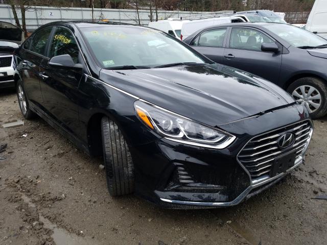 HYUNDAI SONATA SPO 2018 5npe34af2jh645776