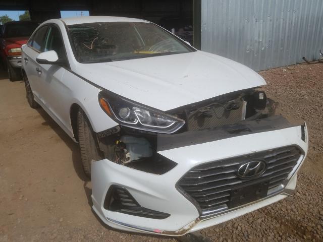 HYUNDAI SONATA SPO 2018 5npe34af2jh652291