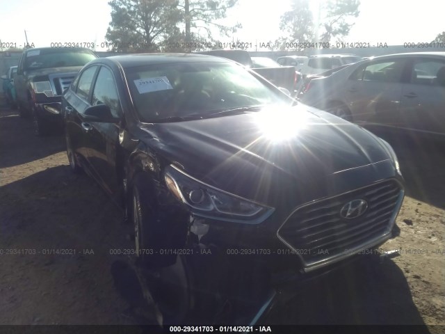 HYUNDAI SONATA 2018 5npe34af2jh677868