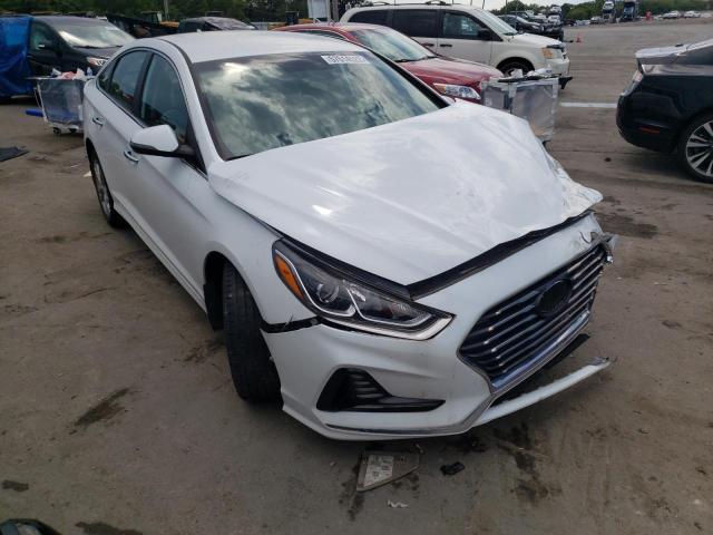 HYUNDAI SONATA SPO 2018 5npe34af2jh683945