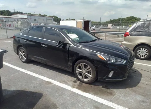 HYUNDAI SONATA 2019 5npe34af2kh794612