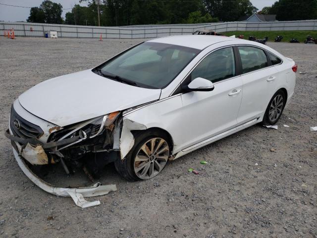 HYUNDAI SONATA SPO 2015 5npe34af3fh023551