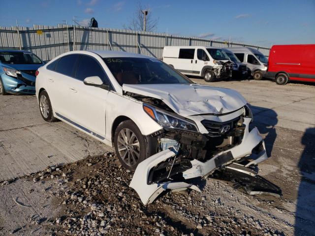 HYUNDAI SONATA SPO 2015 5npe34af3fh053052