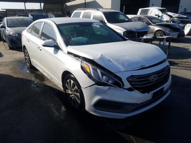 HYUNDAI SONATA SPO 2015 5npe34af3fh064343