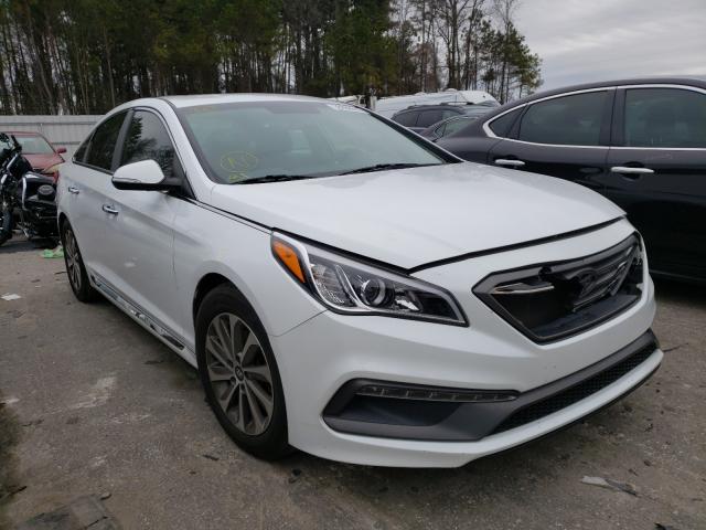 HYUNDAI SONATA SPO 2015 5npe34af3fh116084