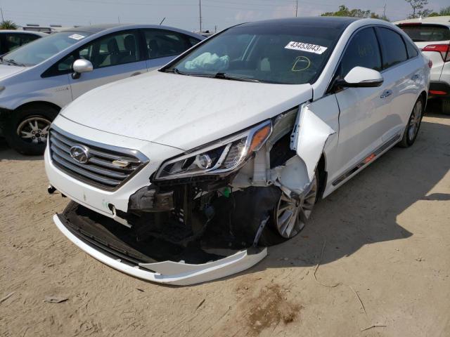 HYUNDAI SONATA SPO 2015 5npe34af3fh174891