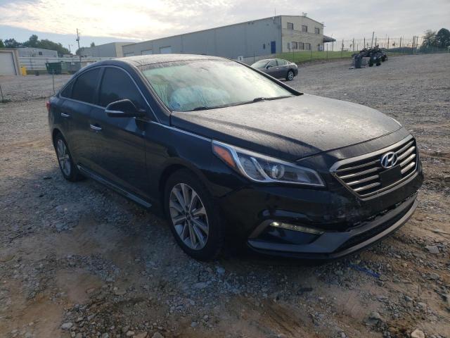 HYUNDAI SONATA SPO 2016 5npe34af3gh271882