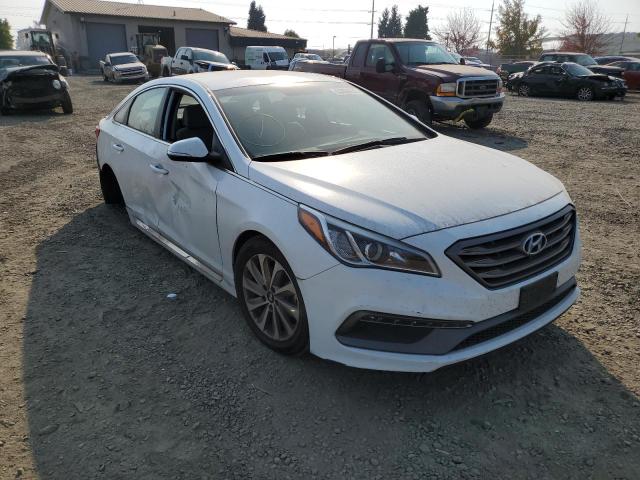 HYUNDAI SONATA SPO 2016 5npe34af3gh271901