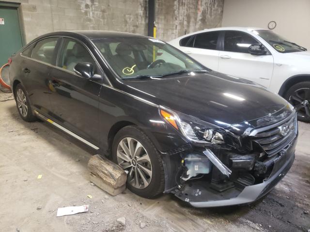 HYUNDAI SONATA SPO 2016 5npe34af3gh279271