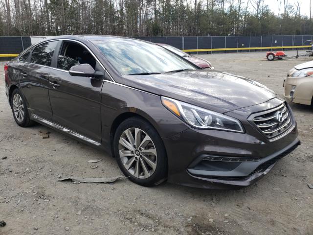 HYUNDAI SONATA SPO 2016 5npe34af3gh289833