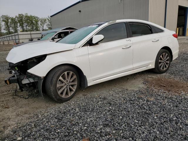 HYUNDAI SONATA SPO 2016 5npe34af3gh305304