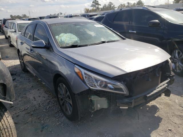 HYUNDAI SONATA SPO 2016 5npe34af3gh307070