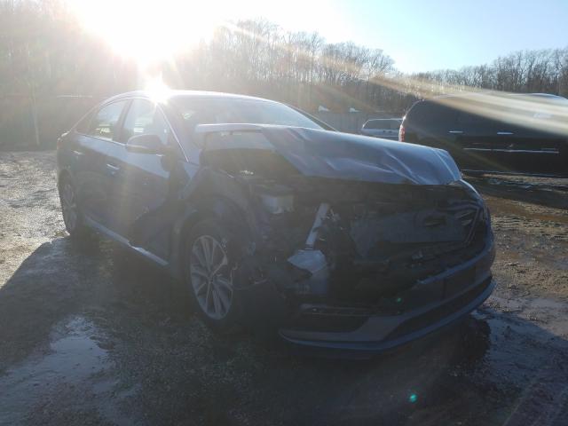 HYUNDAI SONATA SPO 2016 5npe34af3gh313760