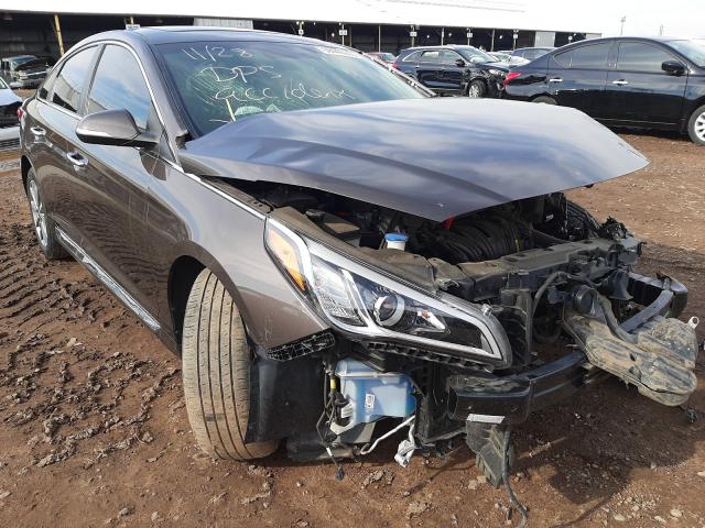 HYUNDAI SONATA SPO 2016 5npe34af3gh316304