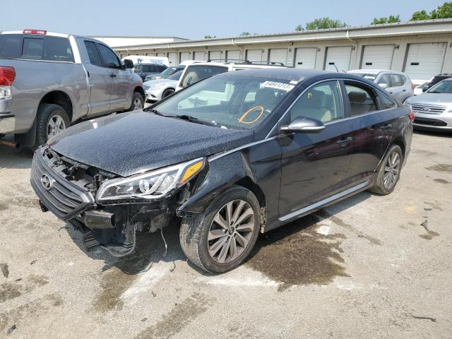 HYUNDAI SONATA SPO 2016 5npe34af3gh330722