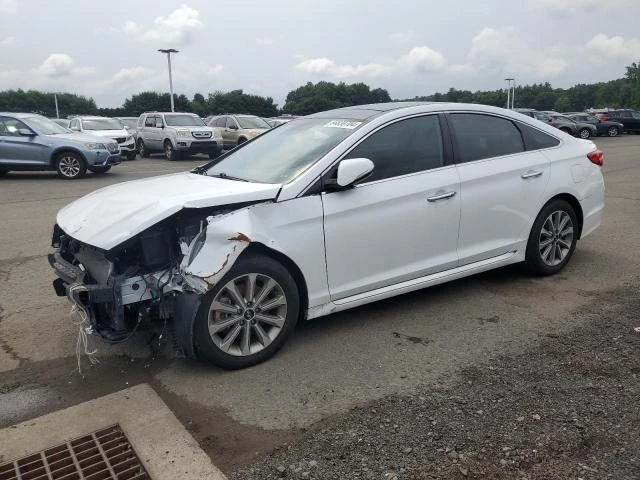 HYUNDAI SONATA SPO 2016 5npe34af3gh342482