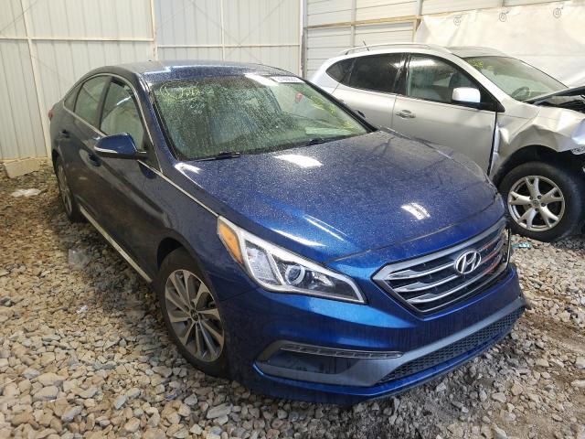 HYUNDAI SONATA SPO 2016 5npe34af3gh345981