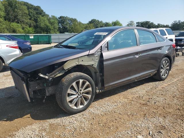 HYUNDAI SONATA SPO 2016 5npe34af3gh367320