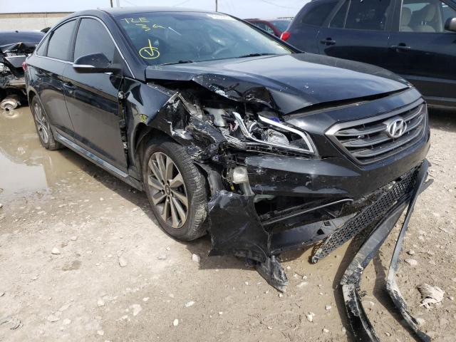 HYUNDAI SONATA SPO 2016 5npe34af3gh390239