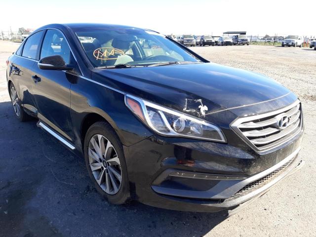 HYUNDAI SONATA SPO 2016 5npe34af3gh399684