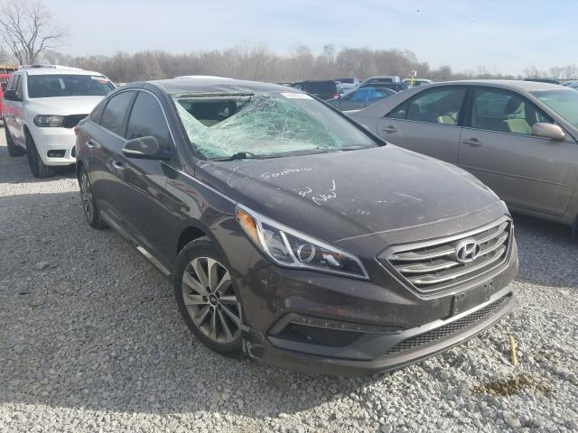 HYUNDAI SONATA SPO 2016 5npe34af3gh420386