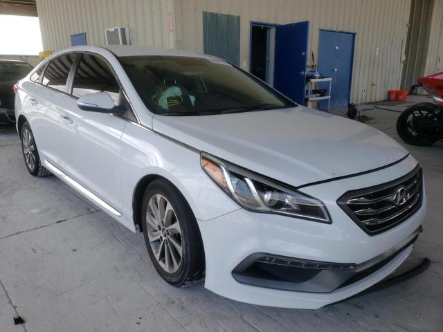 HYUNDAI SONATA SPO 2016 5npe34af3gh422610