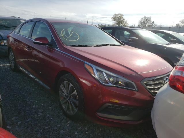 HYUNDAI SONATA SPO 2016 5npe34af3gh431209