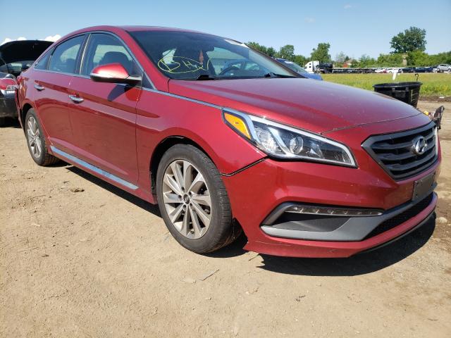 HYUNDAI SONATA SPO 2016 5npe34af3gh431453