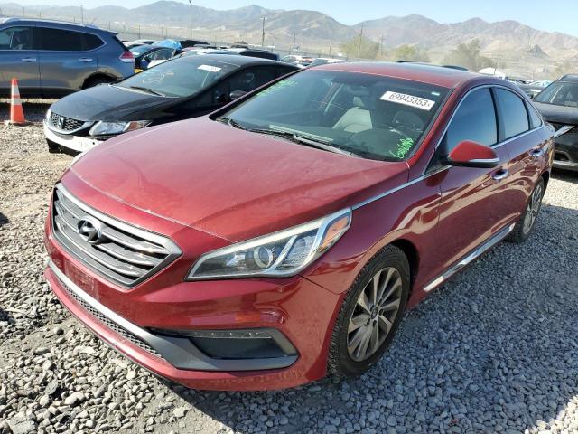 HYUNDAI SONATA SPO 2016 5npe34af3gh432022