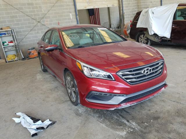 HYUNDAI SONATA SPO 2016 5npe34af3gh434935