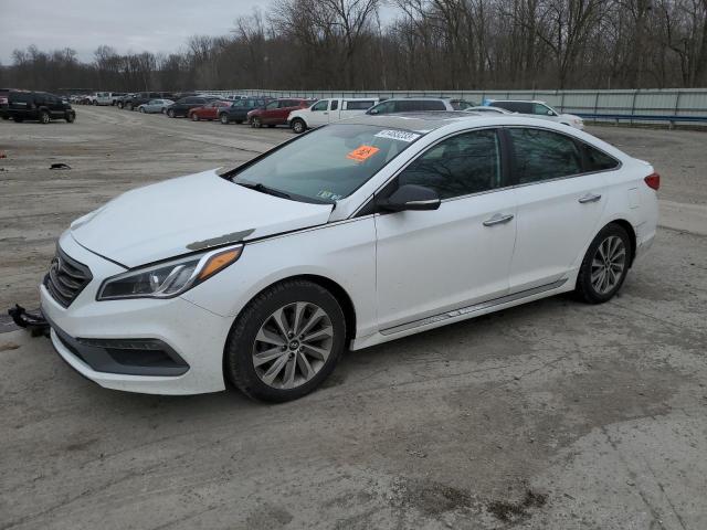 HYUNDAI SONATA SPO 2017 5npe34af3hh439702