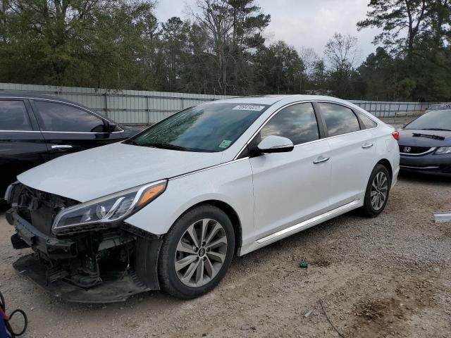 HYUNDAI SONATA SPO 2017 5npe34af3hh497731