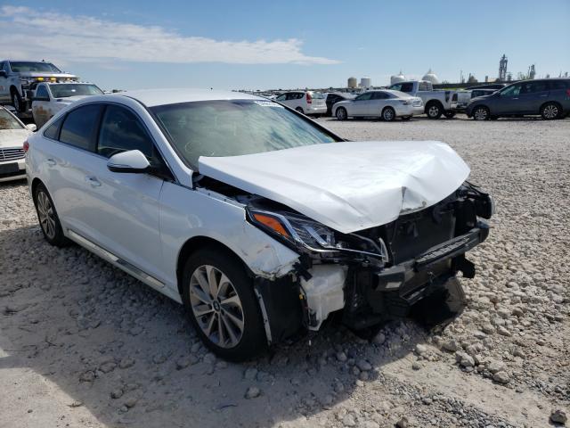 HYUNDAI SONATA SPO 2017 5npe34af3hh562769