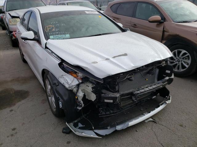 HYUNDAI SONATA SPO 2018 5npe34af3jh597317