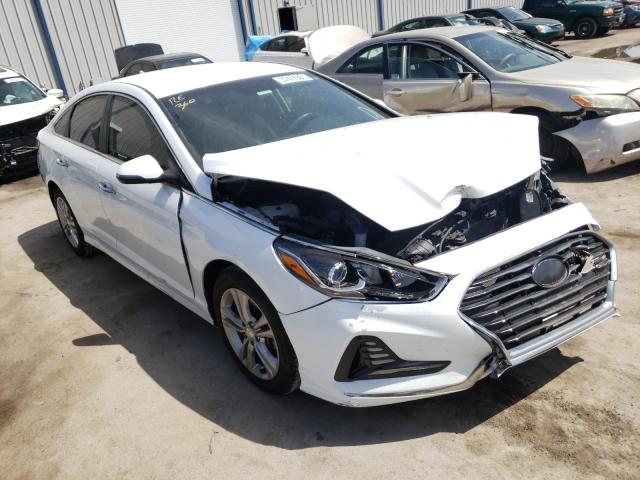 HYUNDAI SONATA SPO 2018 5npe34af3jh640652