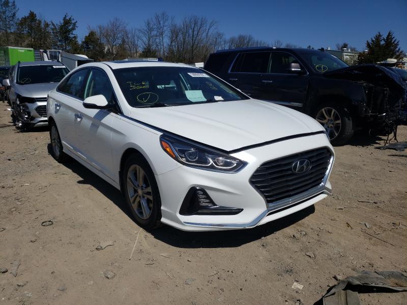 HYUNDAI SONATA SPO 2018 5npe34af3jh658777