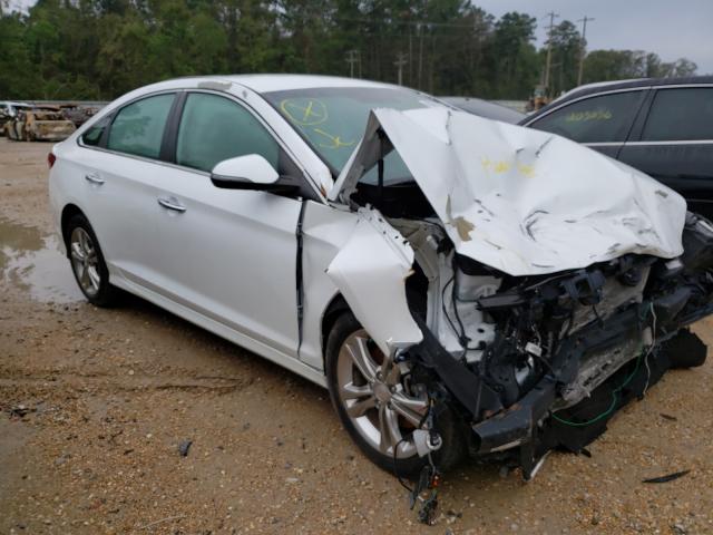 HYUNDAI SONATA SPO 2018 5npe34af3jh661999