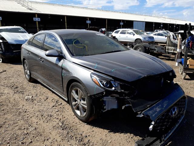 HYUNDAI SONATA SPO 2018 5npe34af3jh668483