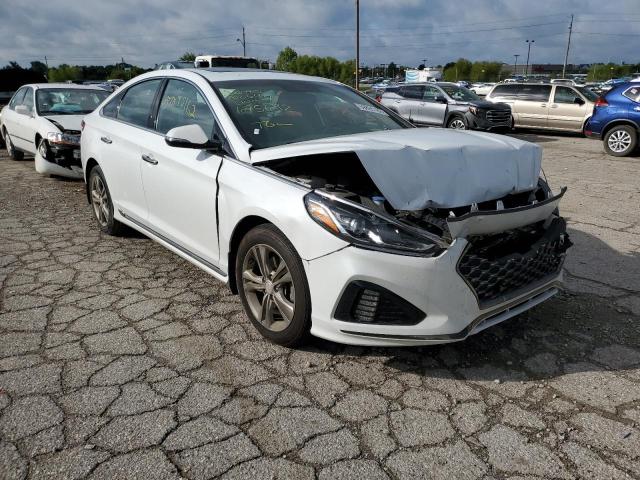 HYUNDAI SONATA SPO 2018 5npe34af3jh675692